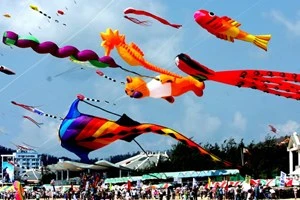 2014年第五届国际风筝节即将开幕